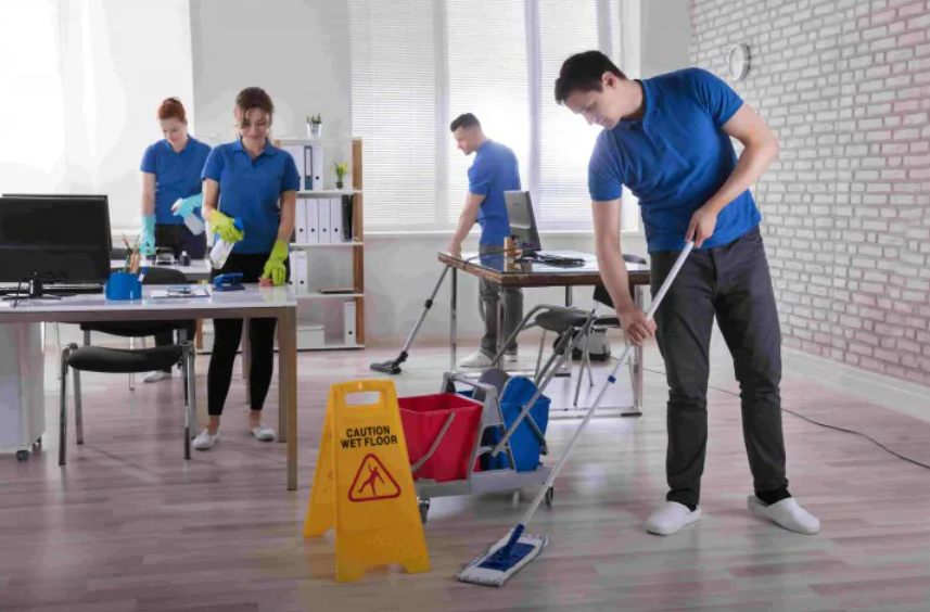 Why Ottawa Residents Are Switching to Recurring House Cleaning and Pest Control Services